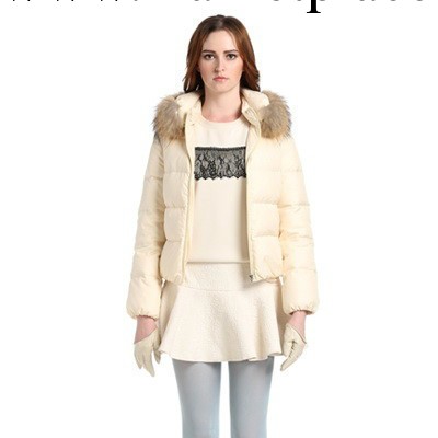 A551 秋冬新品 2013歐美風時尚簡約修身毛領短款女式羽絨衣工廠,批發,進口,代購