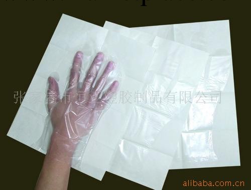 供應一次性紙塑檢查手套工廠,批發,進口,代購