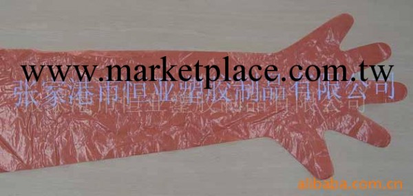 供應獸醫用長手套工廠,批發,進口,代購
