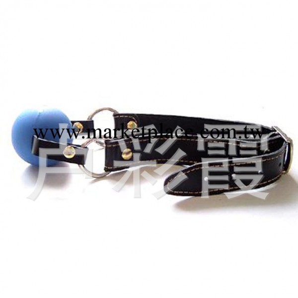 情趣用品 成人玩具 舞臺表演 一件起批發 推薦爆款簡易口塞SN231工廠,批發,進口,代購