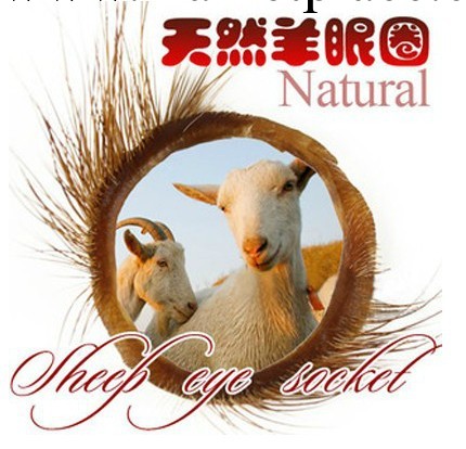 男用延時 簡包裝天然羊眼圈 夫妻情趣用品 成人性生活調情必備工廠,批發,進口,代購