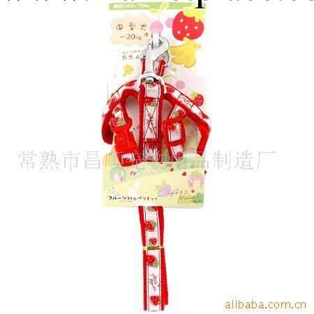 廠傢直銷寵物用品、寵物帶、胸背、狗帶、牽繩工廠,批發,進口,代購