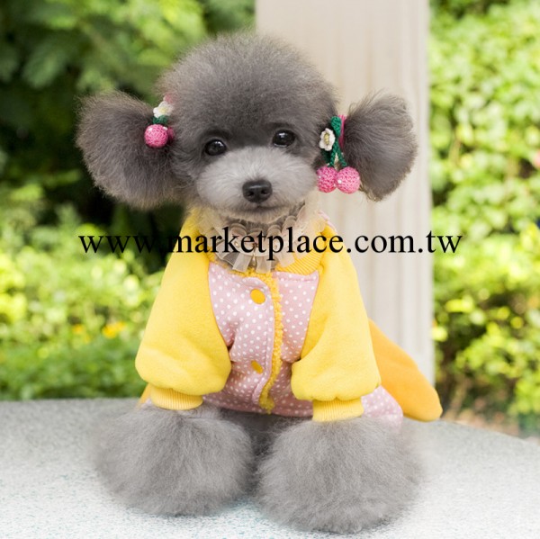 2014新款貴賓 寵物衣服 批發 服裝服飾 秋冬裝 貝歐文藝鳥 四腿衣工廠,批發,進口,代購