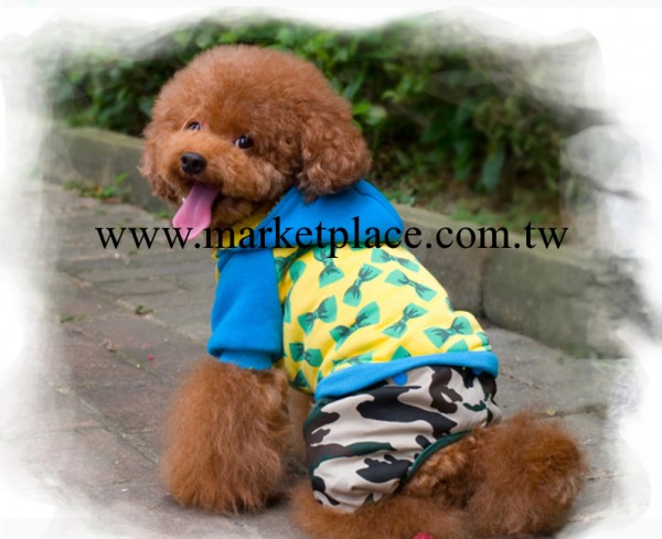 現貨批發德豐迷彩柔情四褪衣服泰迪犬衣服 狗狗衣服 寵物用品混批工廠,批發,進口,代購
