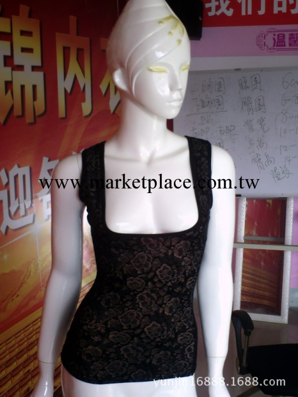 批發2013秋冬款加厚女式背心打底衫 時尚加厚打底衫 韓版加厚背心工廠,批發,進口,代購