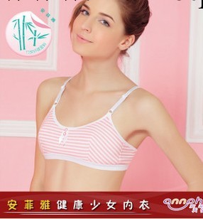 安菲雅 學生內衣/學生胸罩/少女內衣/少女胸罩/少女背心(A816)工廠,批發,進口,代購