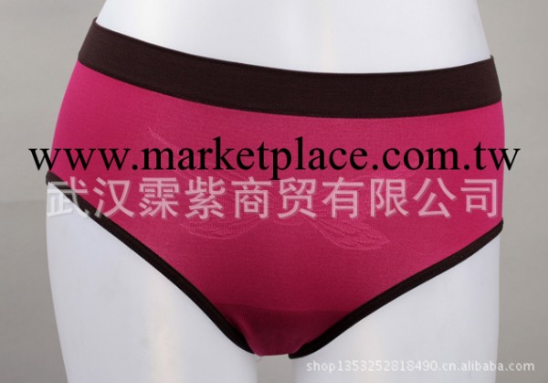 9色無鋼圈胸罩 運動無鋼圈背心 配褲 三角褲 短褲 內褲工廠,批發,進口,代購