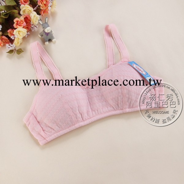 1040D少女品牌胸罩批發 學生內衣 純棉背心發育期無鋼圈胸罩 廠工廠,批發,進口,代購