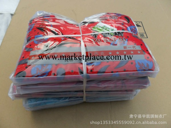 【精品推薦】保暖內衣、女式保暖內衣、不倒絨女式保暖內衣工廠,批發,進口,代購