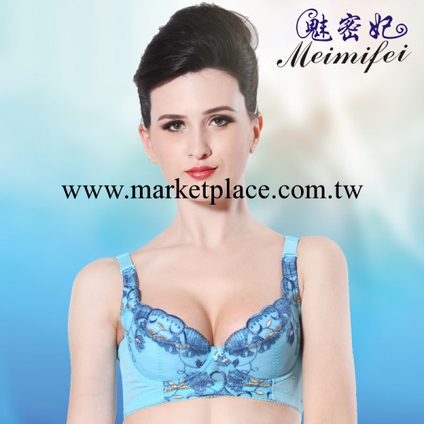 實體店內衣 加盟 小額批發 調整型胸罩工廠,批發,進口,代購