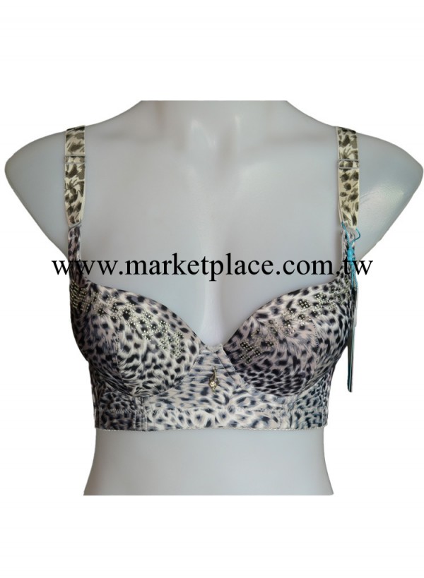 帝夢妮2013最新款女士內衣胸罩內衣批發加盟代理批發・進口・工廠・代買・代購
