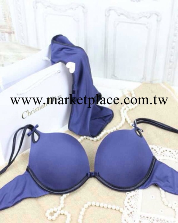 1218新款美國一線品牌的外貿胸罩套裝 外貿原單性感胸罩工廠,批發,進口,代購
