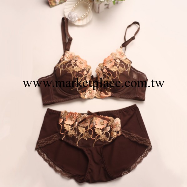 供應外貿出口尾單 性感刺繡女士內衣 經典性感胸罩套裝工廠,批發,進口,代購