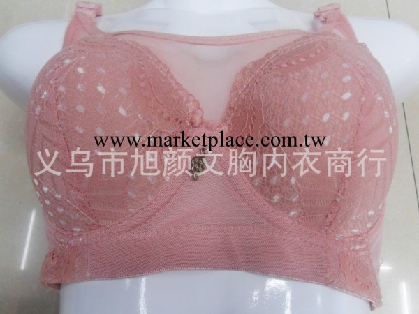 2011雪夢蝶內衣 磁療調整型 收副乳防走光 三排扣裹胸胸罩工廠,批發,進口,代購