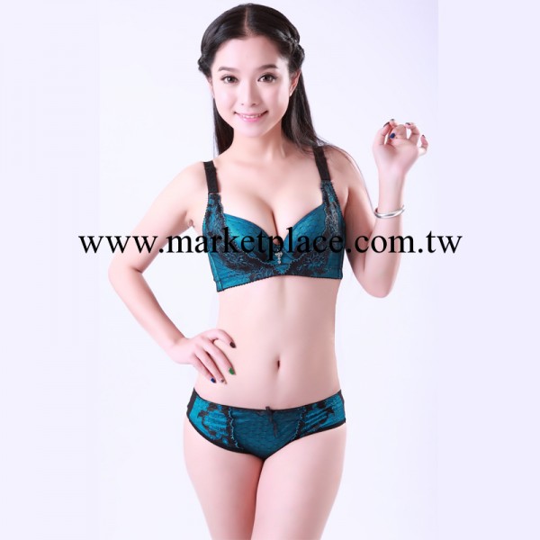 黛安芬秋冬新款聚攏調整型收副乳 性感胸罩T6037工廠,批發,進口,代購