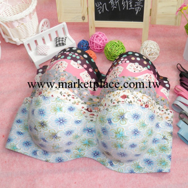 迪妮娜一片式無縫無痕少女女士內衣胸罩女 花花點點6色三排扣工廠,批發,進口,代購