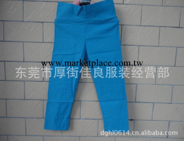 爆款彈力哈倫七分褲 韓版女裝休閒七分褲 女褲批發工廠,批發,進口,代購
