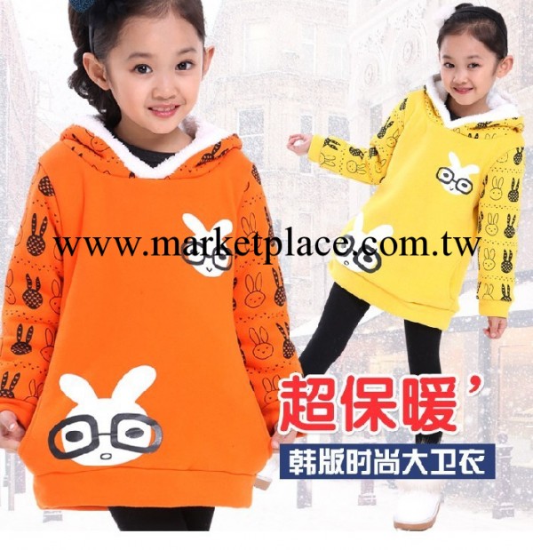 2013新款 冬季冬款童上衣 品牌女童裝可愛卡通帶帽長袖衛衣批發工廠,批發,進口,代購