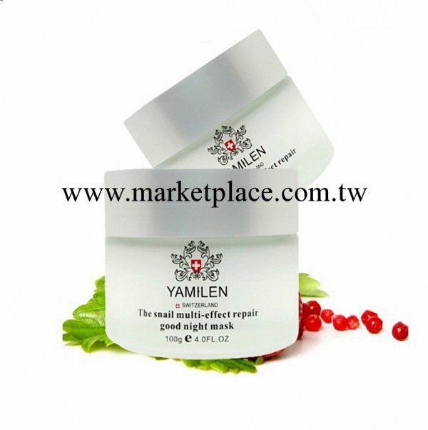 【正品】雅美倫 蝸牛多效修復睡眠面膜100g 美白保濕淡斑修復痘印工廠,批發,進口,代購