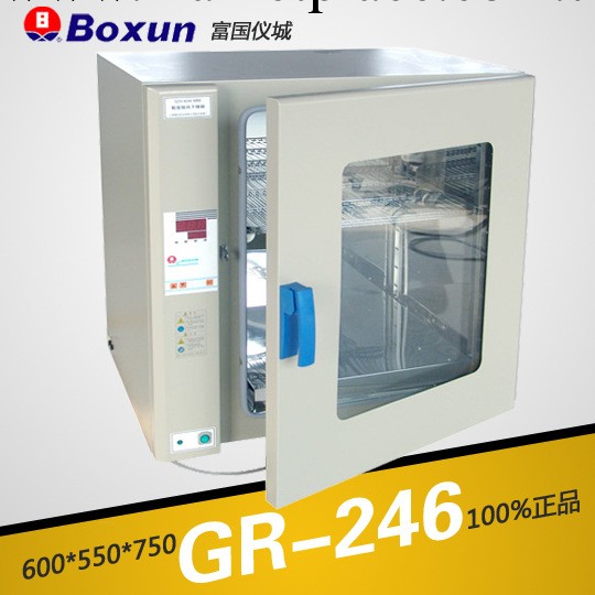 上海博迅GR-246熱空氣消毒箱 幹烤滅菌器 600*550*750工廠,批發,進口,代購