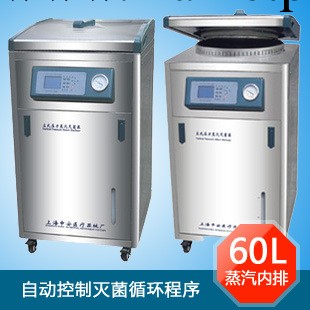 上海申安LDZM-60KCS立式壓力蒸汽滅菌器滅菌鍋消毒鍋60升蒸汽內排工廠,批發,進口,代購