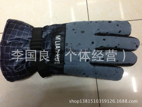 廠傢直銷2013最新男式時尚保暖手套13-D 防水工廠,批發,進口,代購