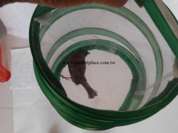 廠傢生產  細網眼透氣寵物籠 PVC透明平蓋昆蟲籠 寵物用品工廠,批發,進口,代購