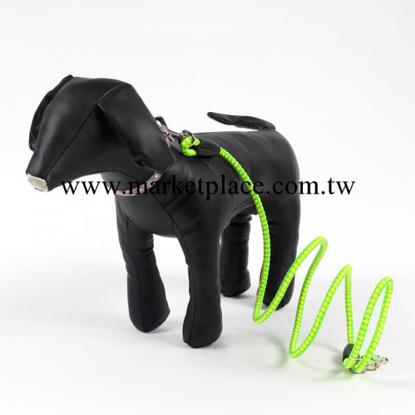 寵物用品 狗狗牽引繩 小型犬泰迪牽引帶 可愛熒光色 小狗繩子工廠,批發,進口,代購