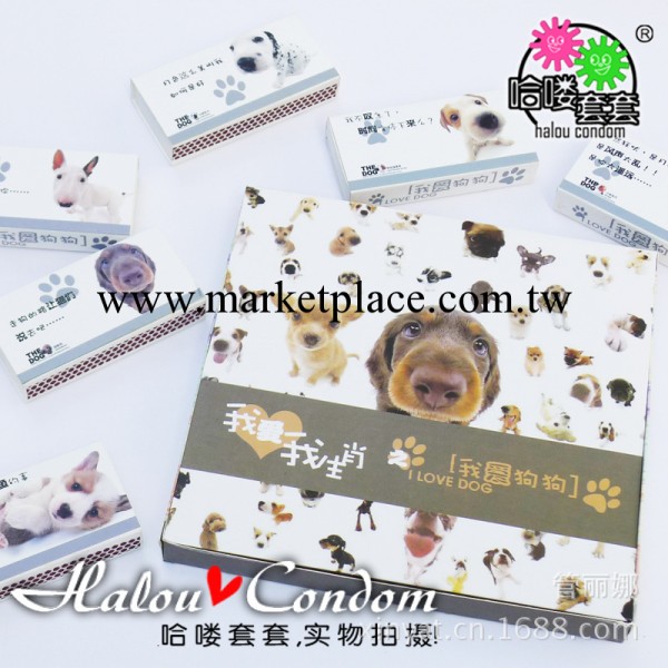 供應成人情趣用品 寵物狗狗 創意避孕套 哈嘍套套安全套工廠,批發,進口,代購