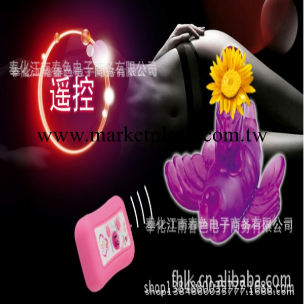 情趣用品 女用情趣穿戴 無線遙控蝴蝶 女情趣用品工廠,批發,進口,代購