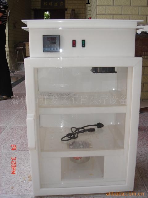 戊二醛恒溫消毒櫃 恒溫熏蒸櫃 電子滅菌櫃 豪華裝置 270L工廠,批發,進口,代購