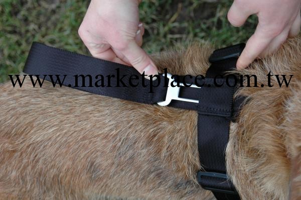 英國Company of Animals寵物用品——車用安全帶批發・進口・工廠・代買・代購