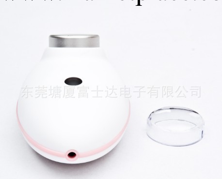 電動臉部按摩器 洗臉機 面部電子美容機 電動瘦臉器 面部按摩器工廠,批發,進口,代購