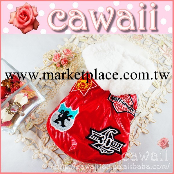 紅色風衣面料寵物服裝.狗狗衣服.寵物用品.狗衣服定做工廠,批發,進口,代購