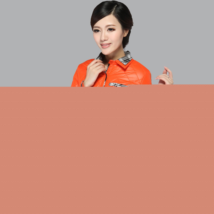 批發2013女裝羽絨衣新款 中老年女式棉衣 中年棉衣女 棉衣女裝工廠,批發,進口,代購