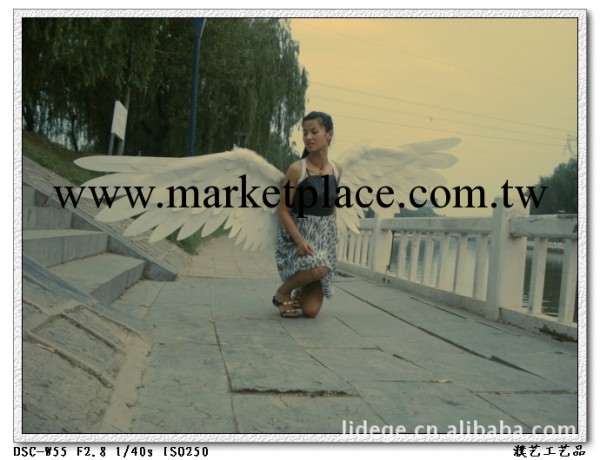 維多利亞秘密同款天使翅膀/影樓道具/演出走秀/服裝道具/展示工廠,批發,進口,代購