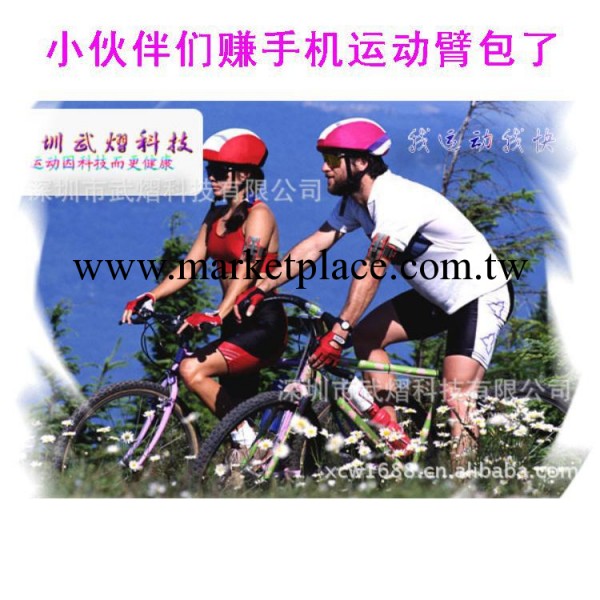2014外貿定制最新款 時尚多色 高級環保三星I9300手機運動臂帶工廠,批發,進口,代購