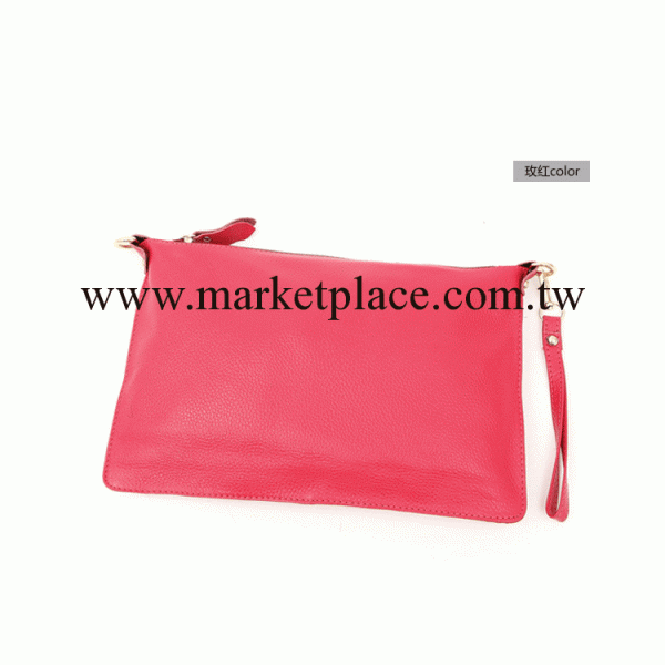 真皮品牌女包 冬季時尚新款 手拿包 單肩斜挎包工廠,批發,進口,代購