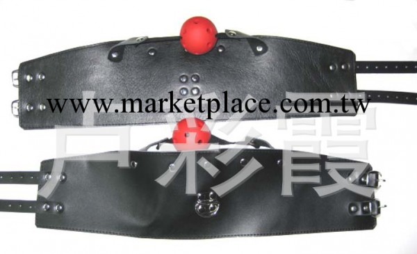 廠傢直銷 批發推薦 情趣用品 混合批發 固定頸套加口枷口塞SN220工廠,批發,進口,代購