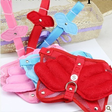 寵物用品 適合中小型犬 可愛天使套裝/狗狗胸背帶+牽引繩 可挑色工廠,批發,進口,代購