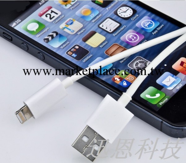 蘋果5手機數據線 iphone5數據線 iphone白色數據線工廠,批發,進口,代購