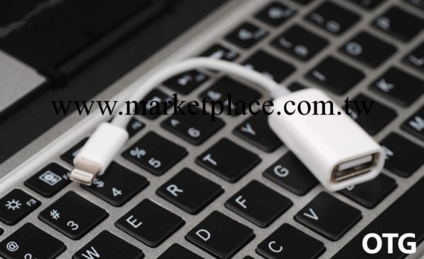 ipad mini OTG,ipad4 OTG廠傢大量供應工廠,批發,進口,代購
