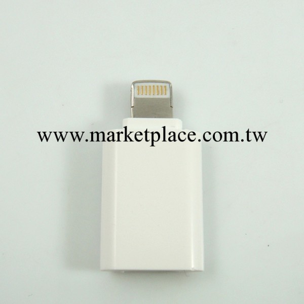 蘋果iphone5 ipad4 ipad mini充電頭轉換頭 Lightning轉換器 接口工廠,批發,進口,代購