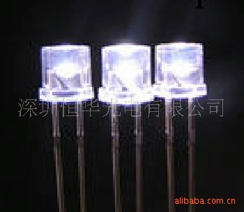 恒華光電供應 平頭白光LED，5MM平頭白光  LED發光二極管批發・進口・工廠・代買・代購