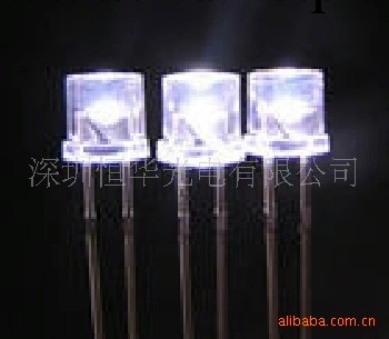 恒華光電供應 平頭白光LED，5MM平頭白光  LED發光二極管工廠,批發,進口,代購