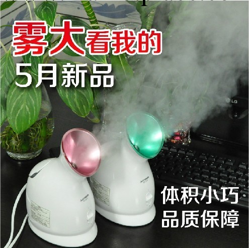 納米蒸面器噴霧機 美容機器傢用 蒸臉器噴霧機補水神器熱噴工廠,批發,進口,代購