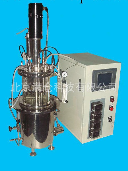 5L機械攪拌玻璃發酵罐 實驗室發酵罐 發酵罐 專業定制工廠,批發,進口,代購
