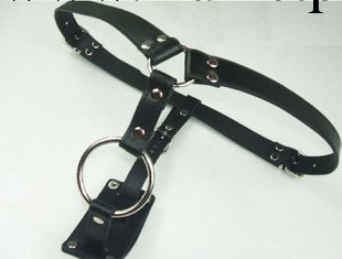 男用貞節褲 貞潔鎖 後庭肛塞肛門栓 狗奴束縛 另類情趣用品工廠,批發,進口,代購