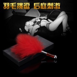 成人性保健夫妻情趣用品 後庭挑逗羽毛刺激調情工廠,批發,進口,代購