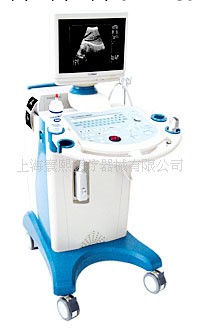 CHISON 600AG 黑白超聲診斷機工廠,批發,進口,代購